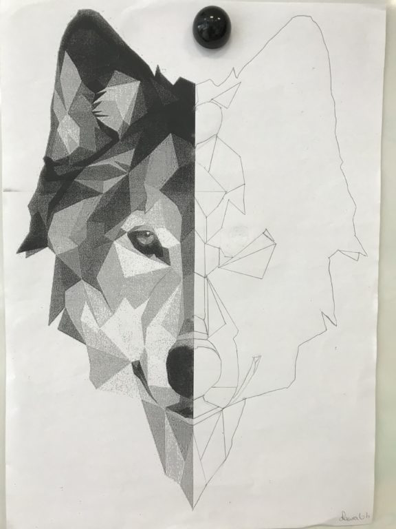 Reflejo de lobo