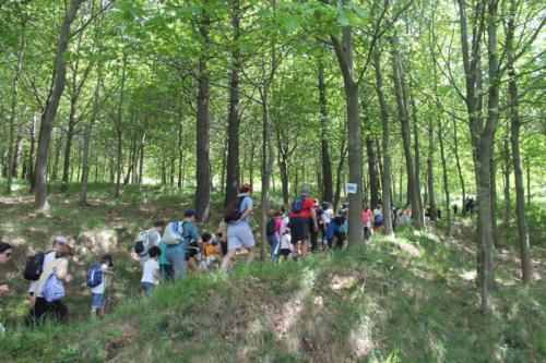 Marcha Monte Avril / Wanderung über den Monte Avril