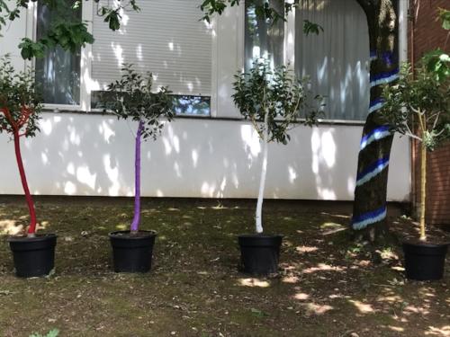 Arboles deseos / Bäume de Wünsche