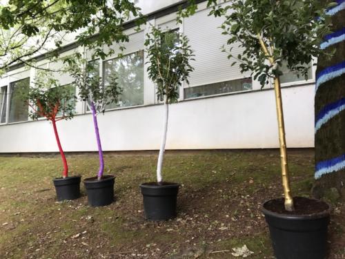Arboles deseos / Bäume de Wünsche