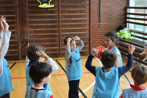 Basketball Camp