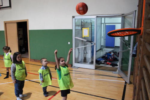 Basketball Camp