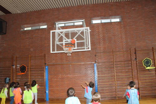 Basketball Camp
