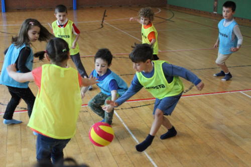 Basketball Camp