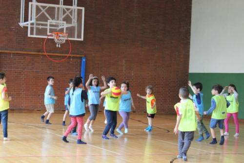 Basketball Camp