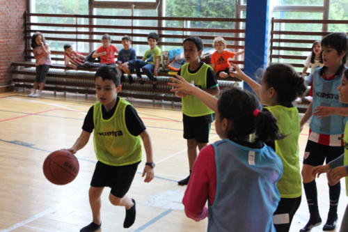 Basketball Camp