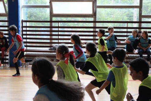 Basketball Camp
