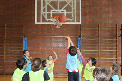 Basketball Camp