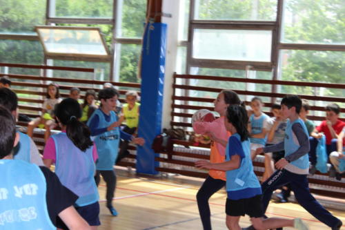 Basketball Camp