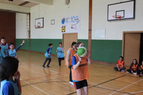 Basketball Camp