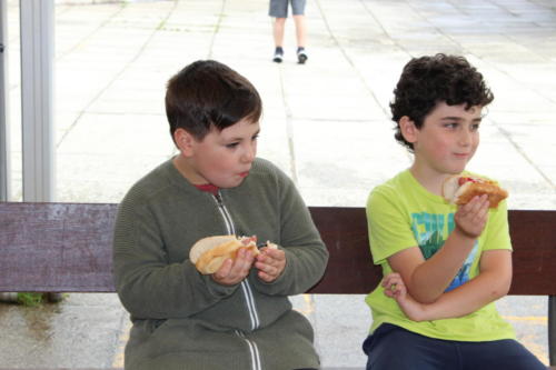 Basketball Camp