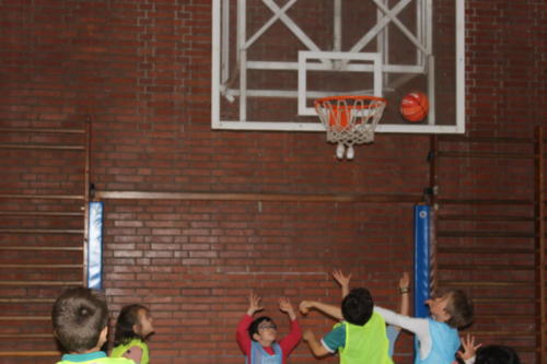Basketball Camp