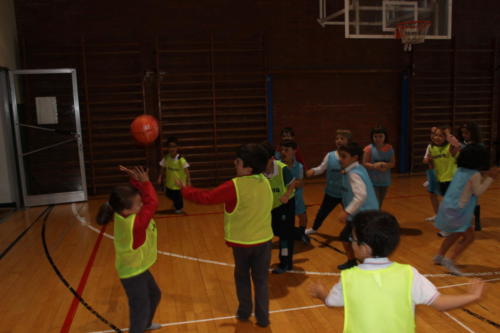 Basketball Camp