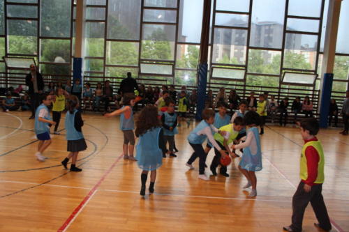 Basketball Camp