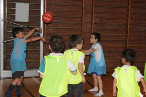 Basketball Camp