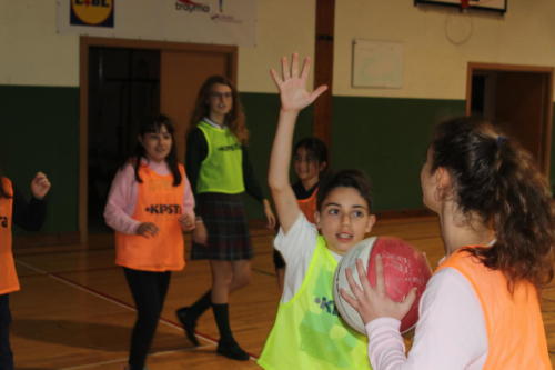 Basketball Camp