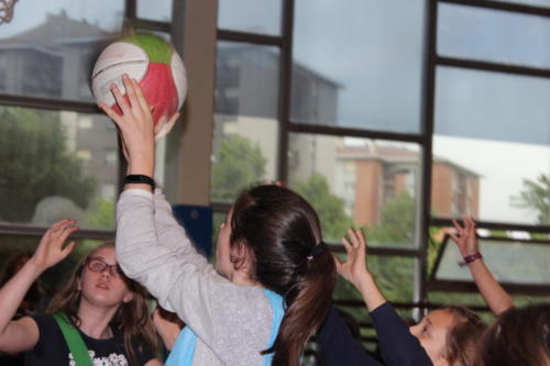 Basketball Camp