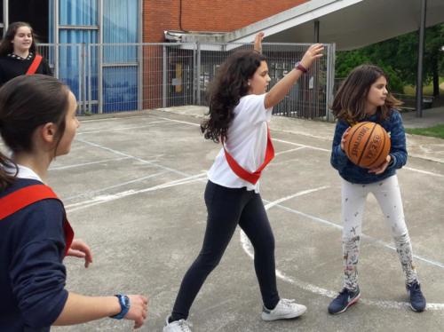 Basketball Camp
