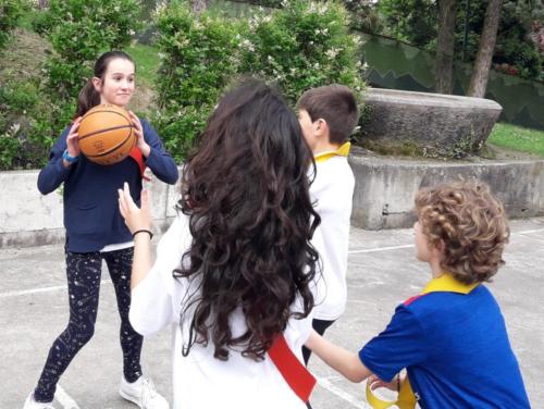 Basketball Camp