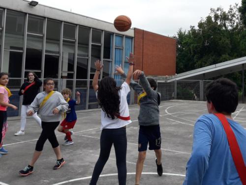 Basketball Camp