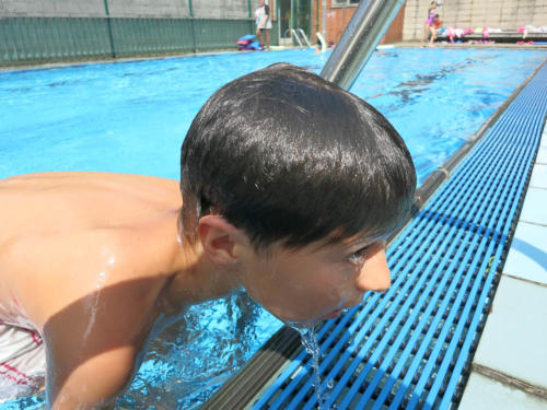 Competiciones de Natación