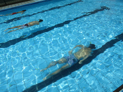 Competiciones de Natación