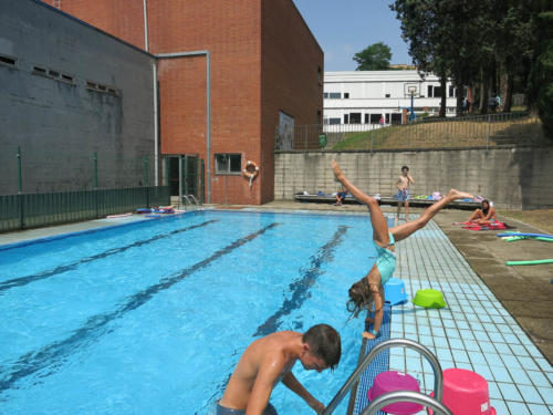 Competiciones de Natación