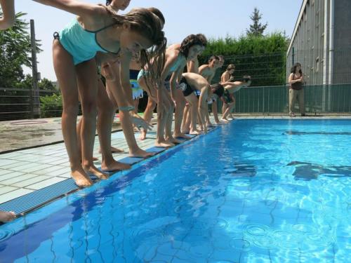 Competiciones de Natación