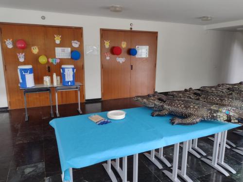Explorando el Congo: Geografía, Naturaleza y Cultura - 3era Etapa del Tour de France / Wir erkunden den Kongo: Geographie, Natur und Kultur – 3. Etappe der Tour de France