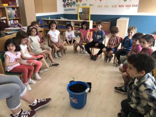 La Importancia de la Educación Ambiental / Die Bedeutung der Umwelterziehung
