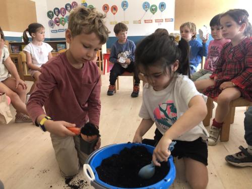 La Importancia de la Educación Ambiental / Die Bedeutung der Umwelterziehung