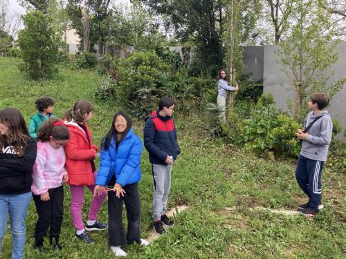 La Importancia de la Educación Ambiental / Die Bedeutung der Umwelterziehung