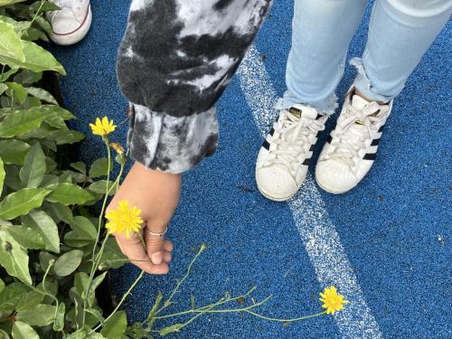 La Importancia de la Educación Ambiental / Die Bedeutung der Umwelterziehung