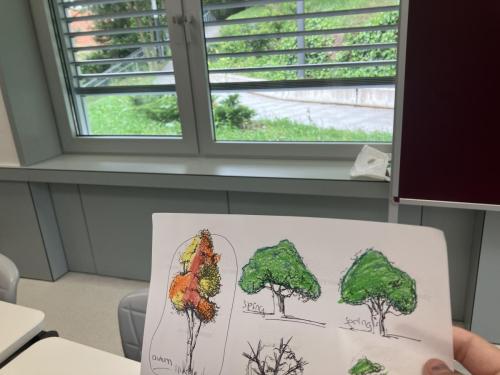 La Importancia de la Educación Ambiental / Die Bedeutung der Umwelterziehung
