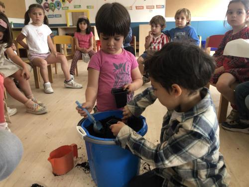 La Importancia de la Educación Ambiental / Die Bedeutung der Umwelterziehung
