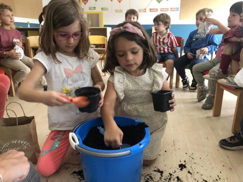 La Importancia de la Educación Ambiental / Die Bedeutung der Umwelterziehung