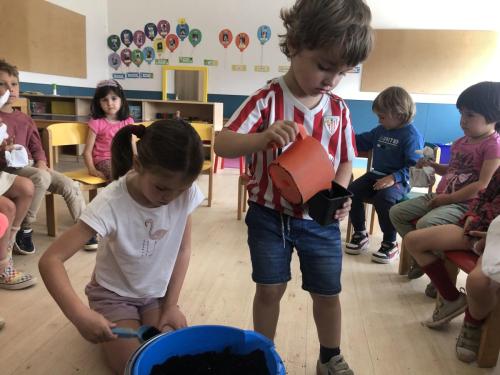 La Importancia de la Educación Ambiental / Die Bedeutung der Umwelterziehung