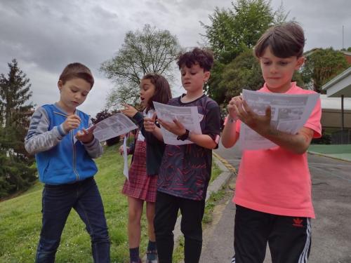 La Importancia de la Educación Ambiental / Die Bedeutung der Umwelterziehung