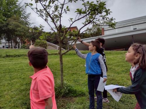 La Importancia de la Educación Ambiental / Die Bedeutung der Umwelterziehung