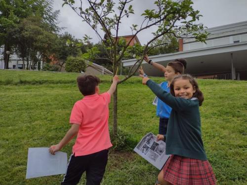 La Importancia de la Educación Ambiental / Die Bedeutung der Umwelterziehung
