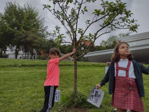 La Importancia de la Educación Ambiental / Die Bedeutung der Umwelterziehung