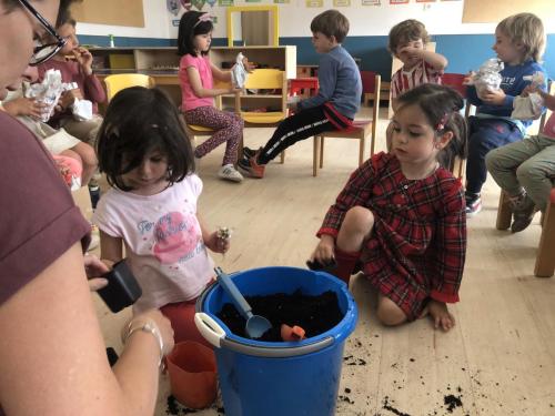 La Importancia de la Educación Ambiental / Die Bedeutung der Umwelterziehung