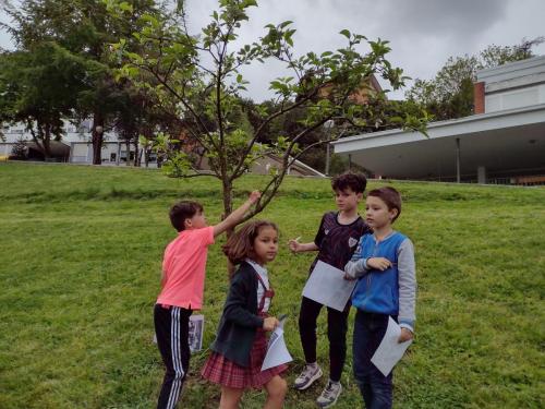 La Importancia de la Educación Ambiental / Die Bedeutung der Umwelterziehung