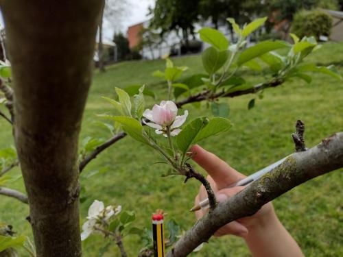 La Importancia de la Educación Ambiental / Die Bedeutung der Umwelterziehung