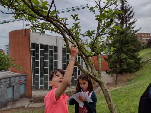 La Importancia de la Educación Ambiental / Die Bedeutung der Umwelterziehung