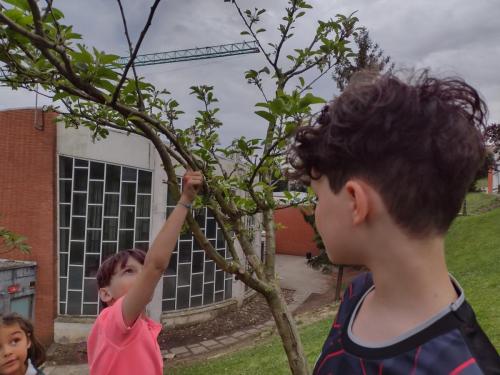 La Importancia de la Educación Ambiental / Die Bedeutung der Umwelterziehung