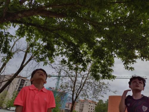 La Importancia de la Educación Ambiental / Die Bedeutung der Umwelterziehung