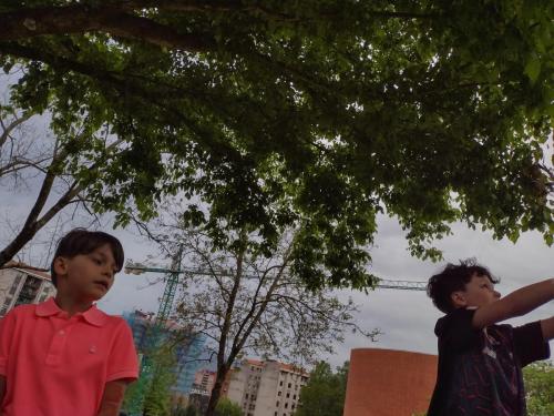 La Importancia de la Educación Ambiental / Die Bedeutung der Umwelterziehung