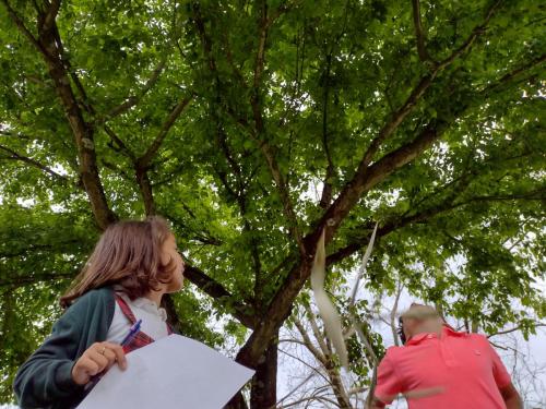 La Importancia de la Educación Ambiental / Die Bedeutung der Umwelterziehung