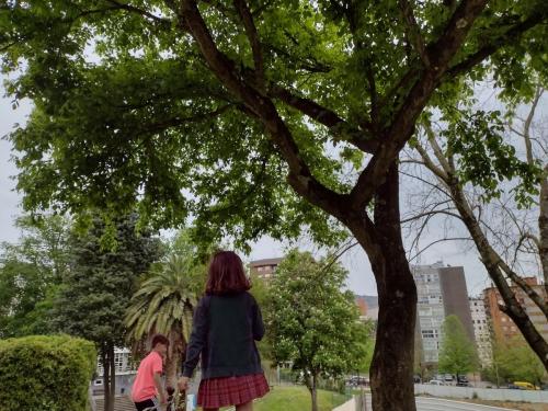 La Importancia de la Educación Ambiental / Die Bedeutung der Umwelterziehung